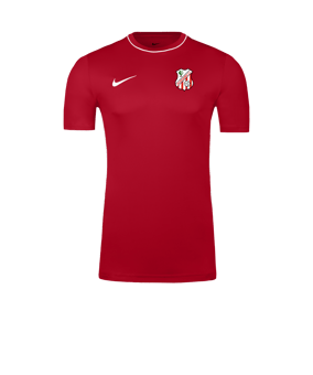 Nike Park 26 Camiseta De Entrenamiento Rojo C657 