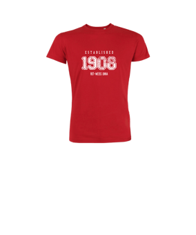 Merch Mini Creator 2.0 T-Shirt Kids Red | #established