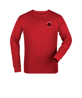 Merch Roller Sweatshirt Red | #brustlogo