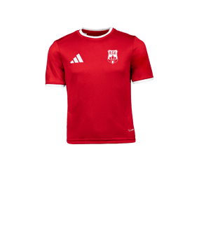 adidas Entrada 26 Trikot Kids Rot