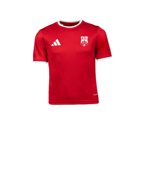 adidas Entrada 26 Trikot Kids Rot