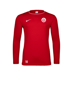 Nike Park 26 Longsleeve Rot F657