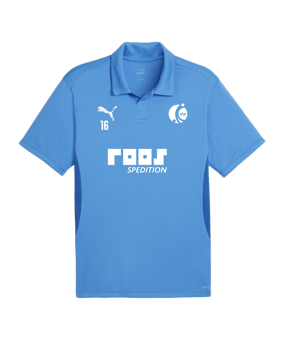 PUMA teamGOAL Poloshirt Blau F02