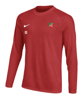Nike Park VIII Trikot langarm Rot F657