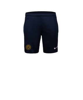 Nike Park 26 Short Blau F410