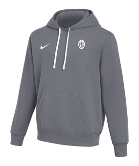 Nike Park 26 Hoody Grau F071