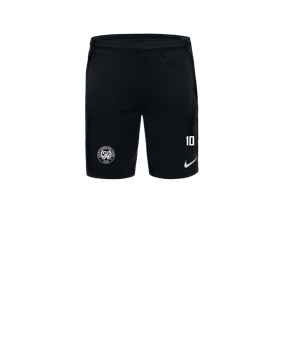 Nike Park 20 Knit Short Schwarz Weiss F010