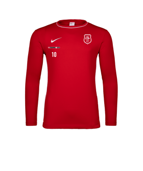 Nike Park 26 Longsleeve Rot F657