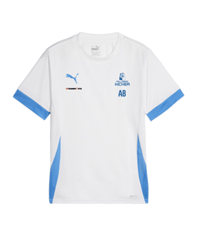 PUMA teamGOAL Matchday Trikot Kids Weiss Blau F12