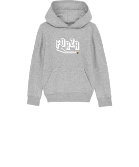 Merch Mini Cruiser 2.0 Hoody Kids H. Grey | #forza