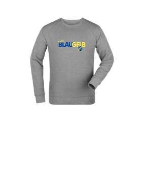 Merch Mini Changer 2.0 Sweatshirt Kids Heather Grey FC250
