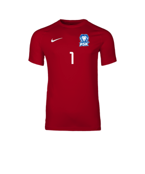 Nike Park VIII Trikot Rot F657