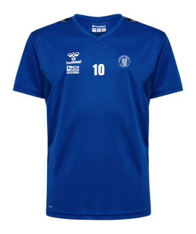 Hummel Authentic Pl Trikot Kids Blau F7045
