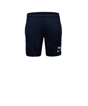 Nike Park 26 Short Blau F410