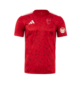adidas Team Icon 25 Trikot Rot