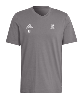 adidas Entrada 22 T-Shirt Grau