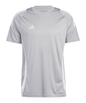 adidas Tiro 24 Trikot Grau Weiss - grau