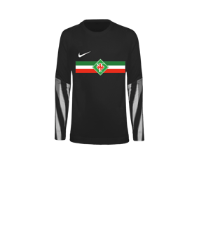 Nike Park V Trikot langarm Kids Schwarz F010