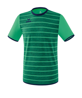 Erima Roma Trikot kurzarm Grün Blau - gruen