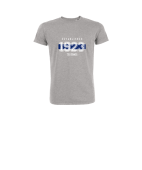 Merch Mini Creator 2.0 T-Shirt Kids Heather Grey | #established