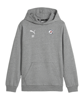 PUMA teamGOAL Casuals Hoody Kids Grau F33