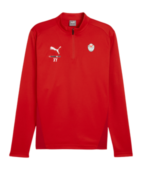 PUMA teamGOAL Training 1/4 Zip Sweatshirt Rot F01