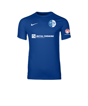 Nike Park VIII Trikot Blau F463