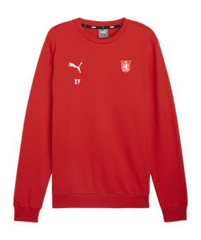PUMA teamGOAL Casuals Sweatshirt Rot F01