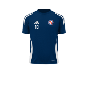 adidas Tiro 24 Trikot Kids Blau Weiss