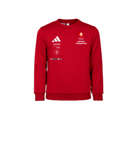adidas Entrada 26 Sweatshirt Kids Rot