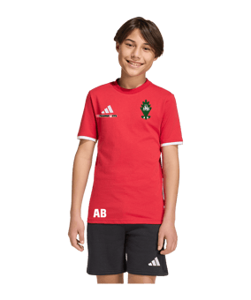 adidas Entrada 26 Trainingsshirt Kids Rot