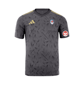 adidas Team Icon 25 Trikot Schwarz Gold
