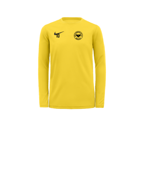 Nike Park VII Trikot langarm Kids F719