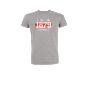Merch Mini Creator 2.0 T-Shirt Kids Heather Grey FC250