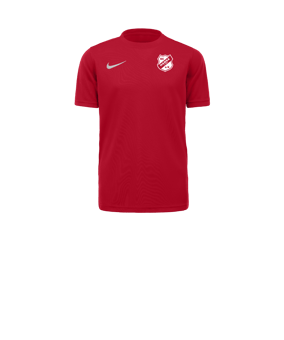 Nike Park VII Trikot kurzarm Kids Rot F657