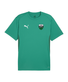 PUMA teamGOAL Trikot Grün F05
