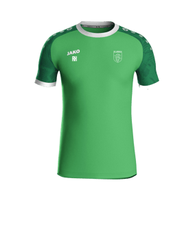 JAKO Iconic Trikot Grün F222