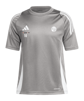 adidas Tiro 24 Trikot Kids Grau Weiss