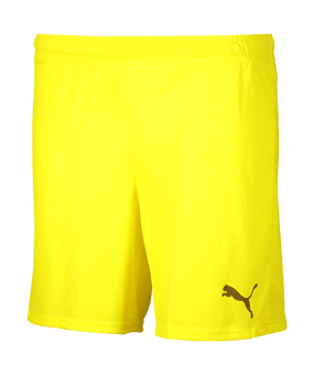 PUMA teamGOAL Short Kids Gelb F23 - gelb