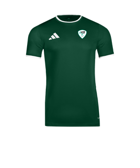 adidas Entrada 26 Trikot Grün