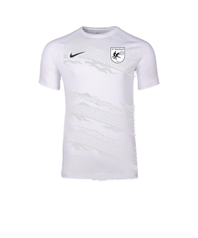 Nike Park VIII Trikot Weiß F100