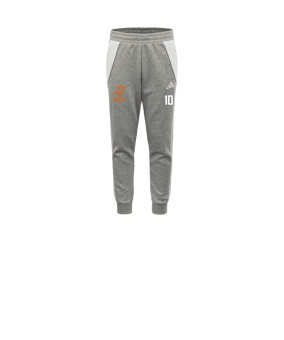 adidas Tiro 24 Pantalon de survêtement Enfants Gris