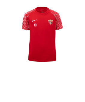 Nike Academy Trikot Kids Rot Weiss F657
