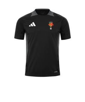 Maillot de Training adidas Tiro 24 Comp noir gris 