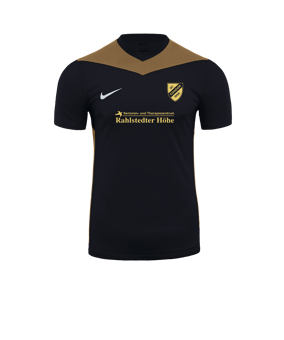 Nike Park Derby IV Trikot Schwarz Gold F011