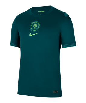 Nike Nigeria Trikot Home 2025/2026 Blau F483 - gruen