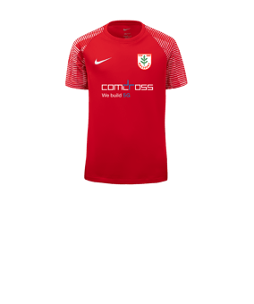 Nike Academy Trikot Kids Rot Weiss F657