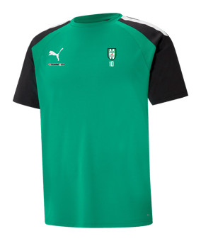 PUMA teamPacer Trikot Grün F05