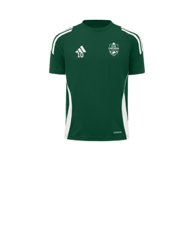 adidas Tiro 24 Trikot Kids Grün Weiss
