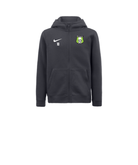 Veste à capuche en polaire Nike Park 20 enfants Gris F071